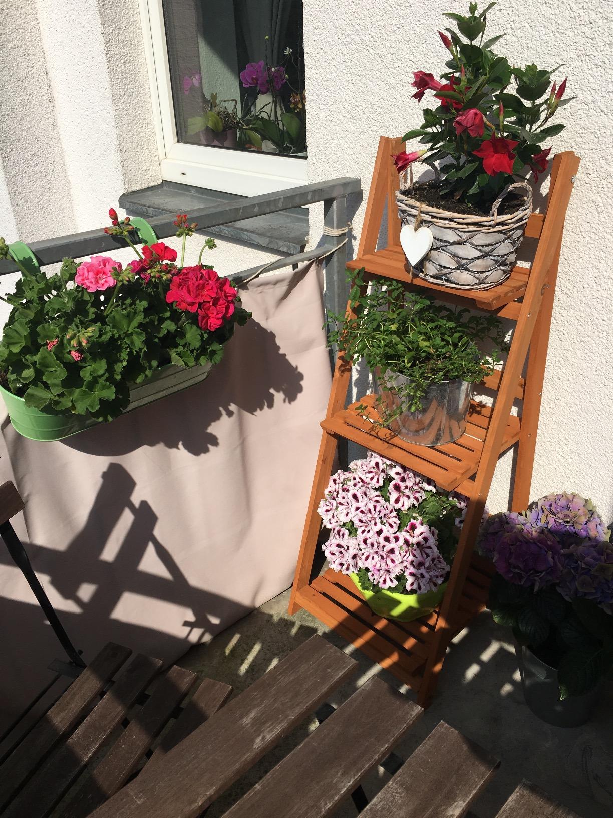 Klein aber fein