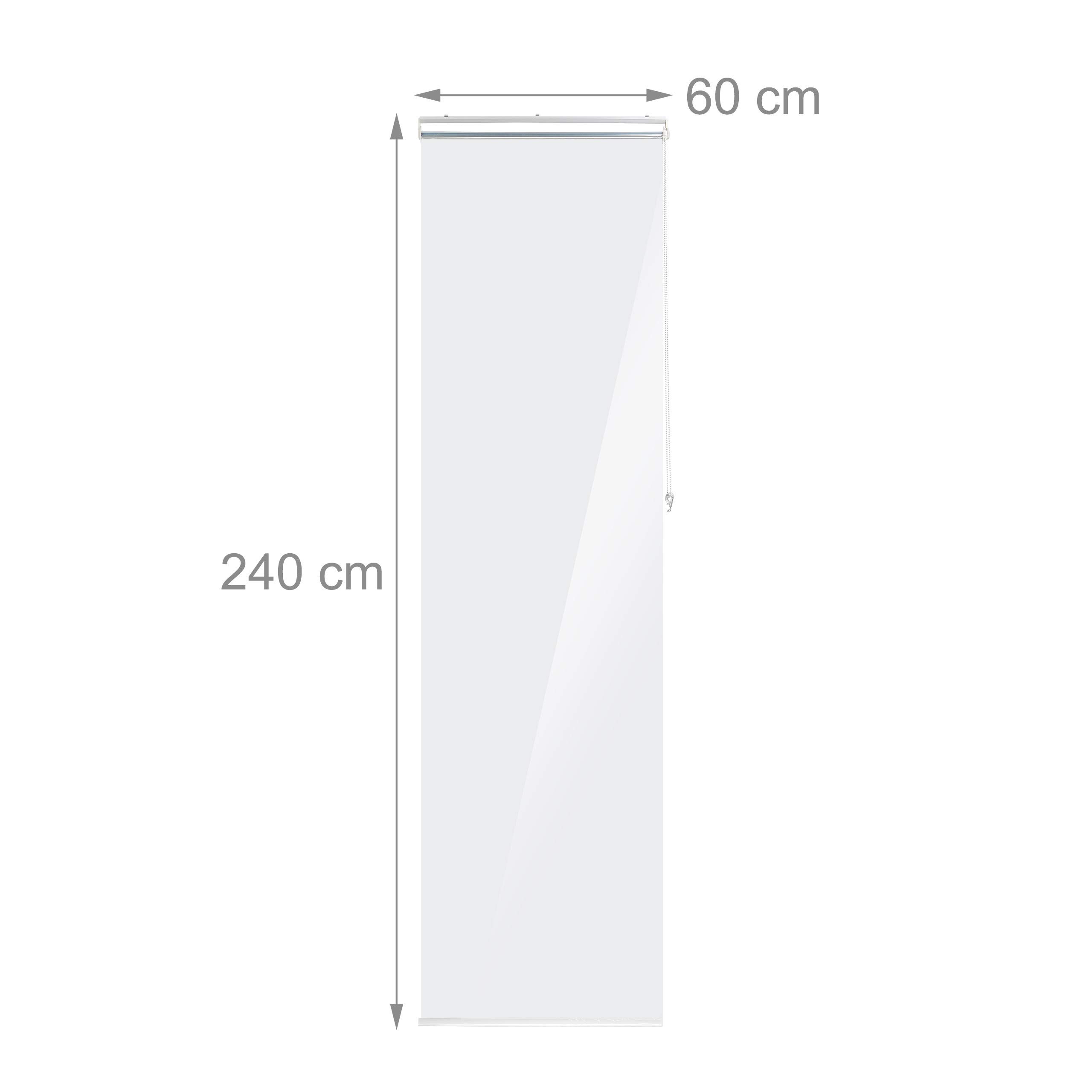 relaxdays-duschrollo-60x240-cm-transparent-seilzugrollo-f-r-dusche-badewanne image 4