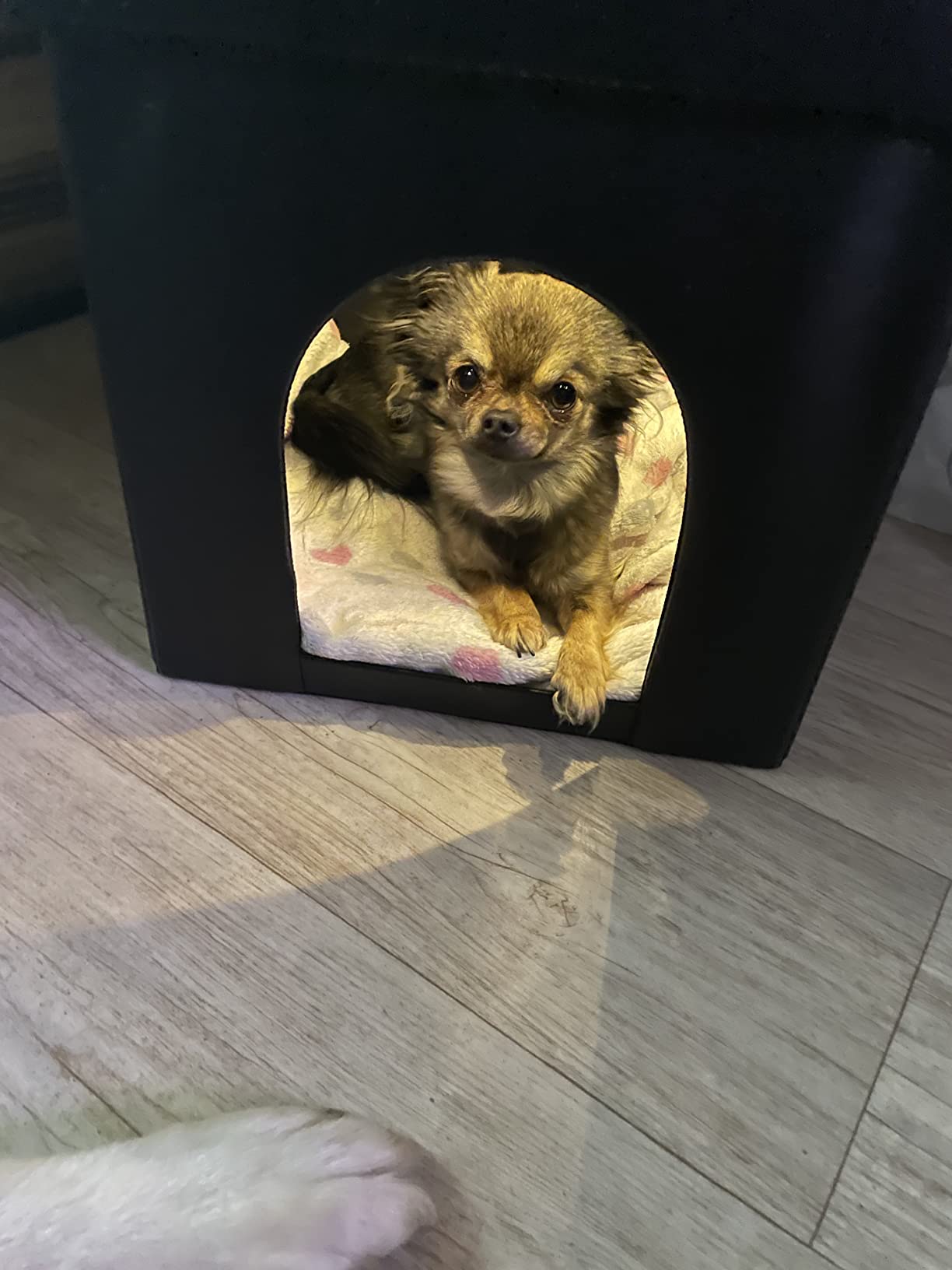 Zwei in eins