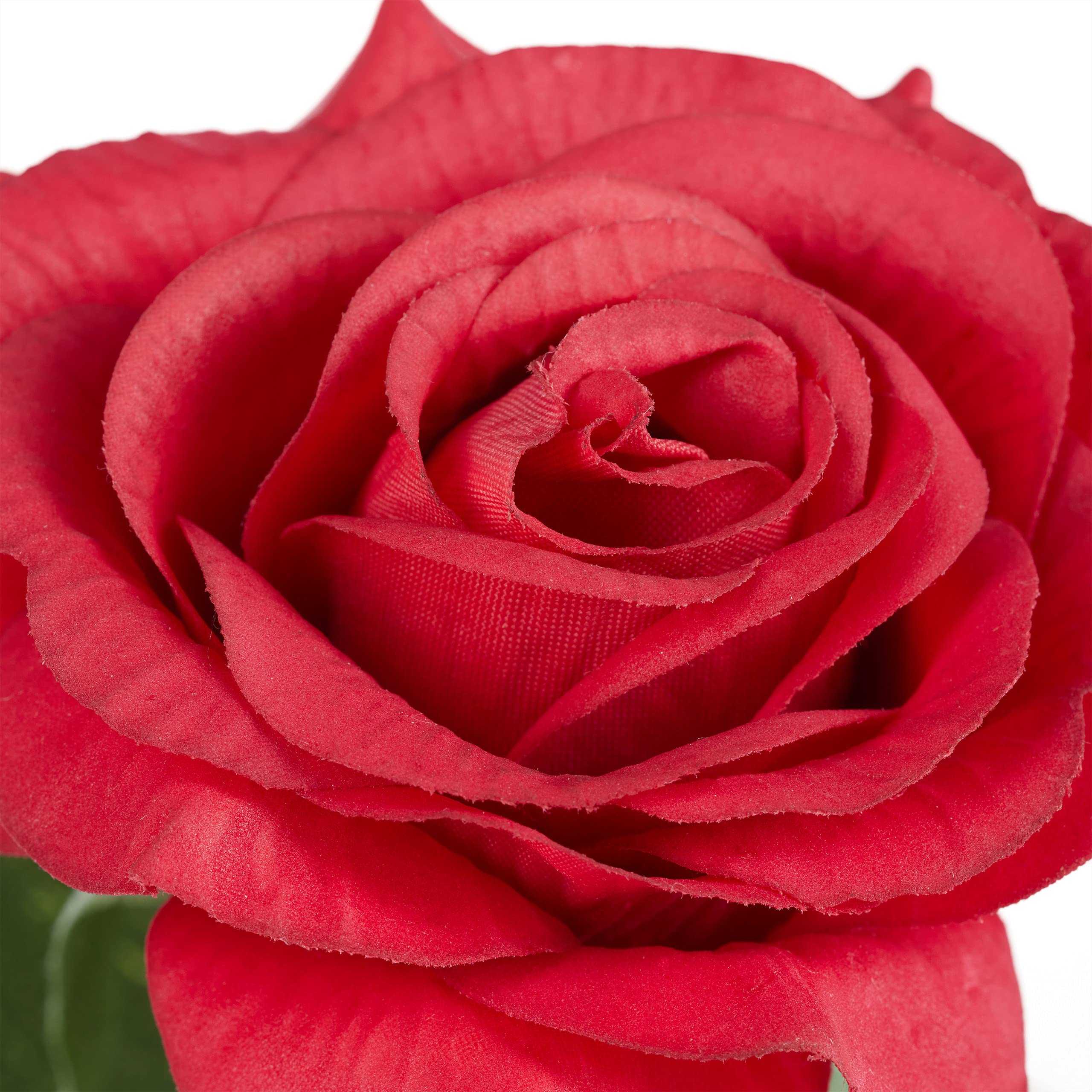 relaxdays-ewige-rose-mit-lichterkette-in-glaskuppel-rot-22x11-cm image 7
