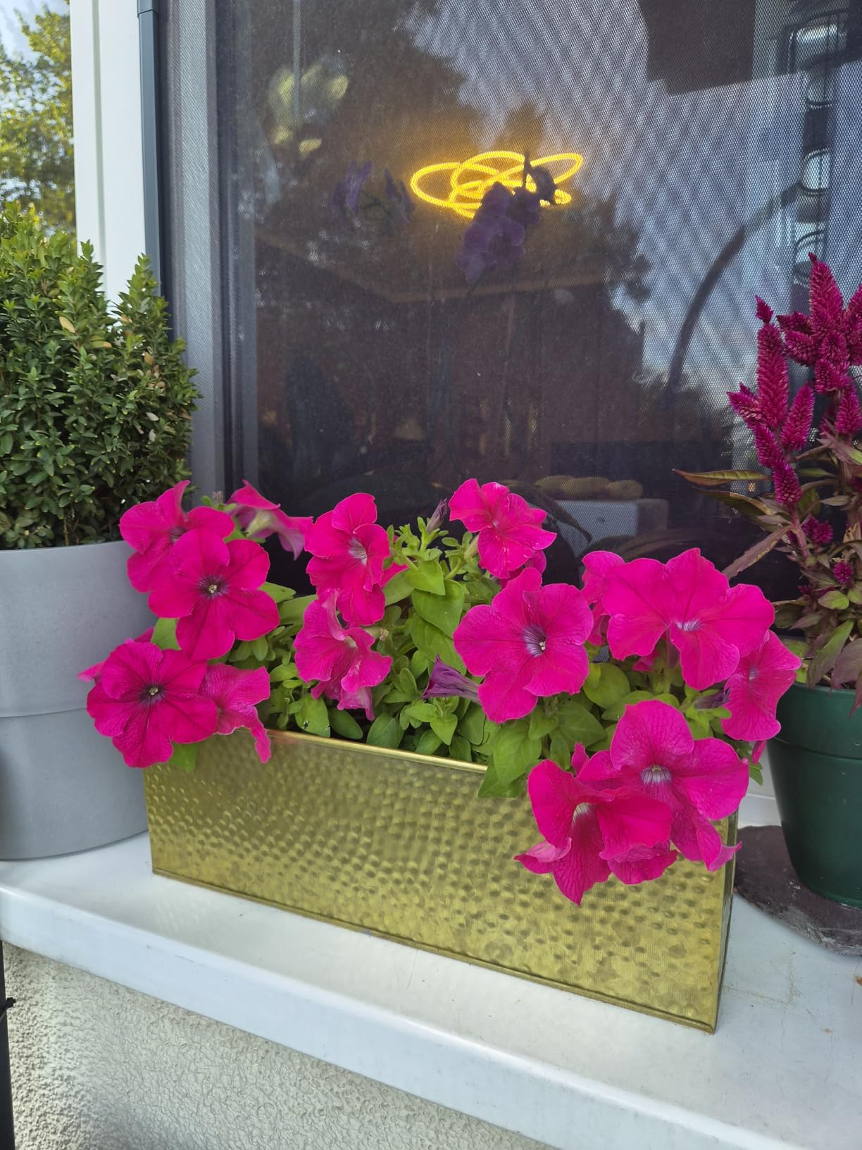 Sieht edel aus