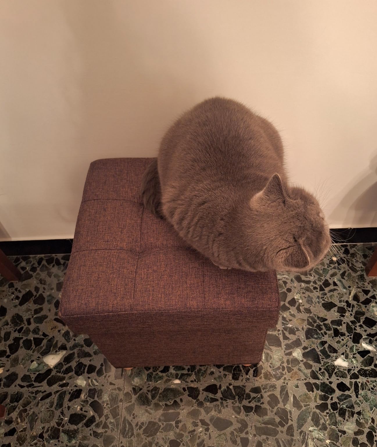 Passt perfekt ins Wohnzimmer