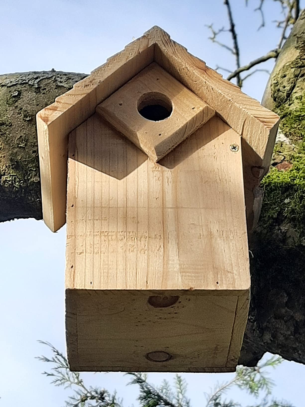 Ganz okay, etwas dĂŒnnes Holz