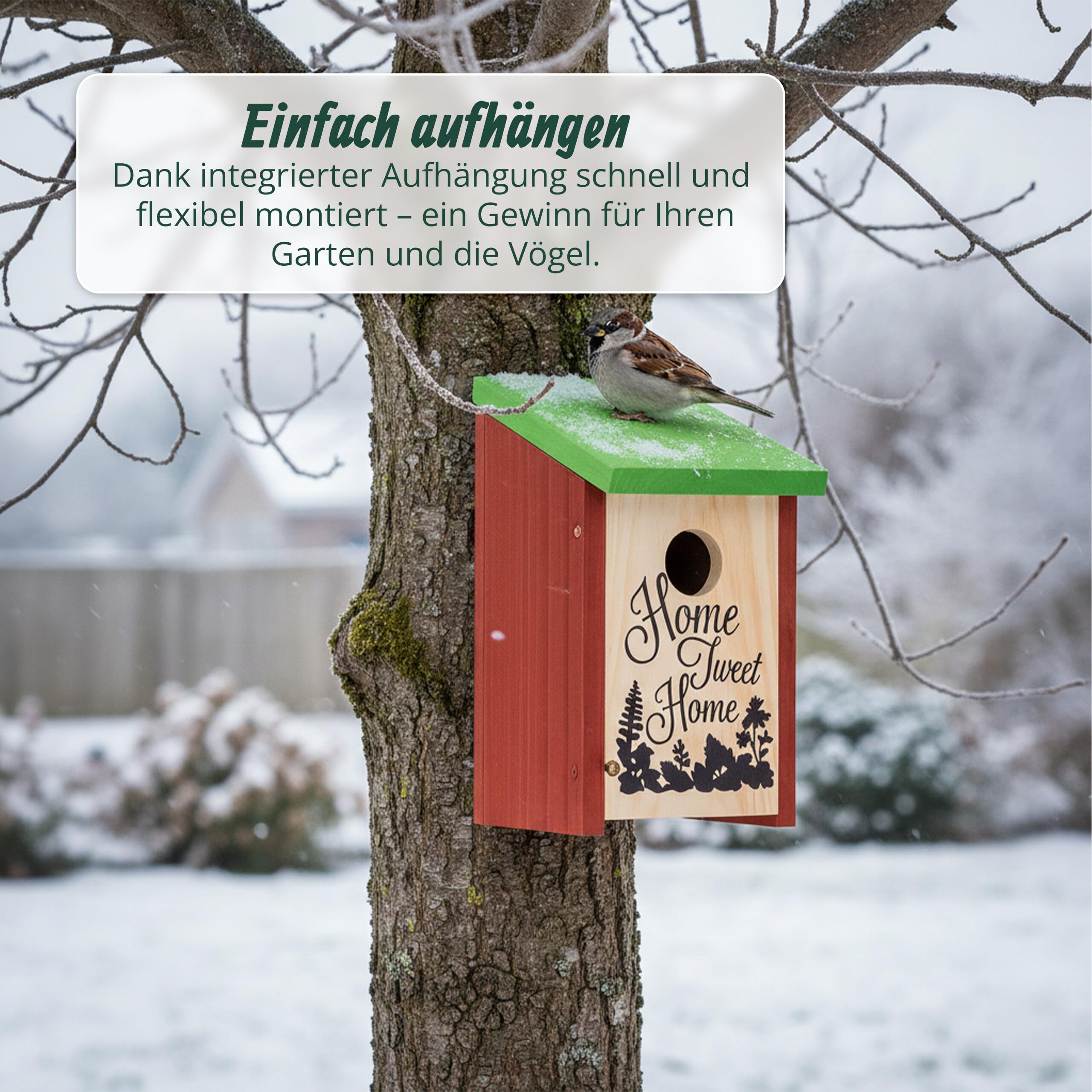 relaxdays-nistkasten-home-tweet-home-holzvogelhaus-rotgr-n-21-5-x-12-x-15-2-cm image 3