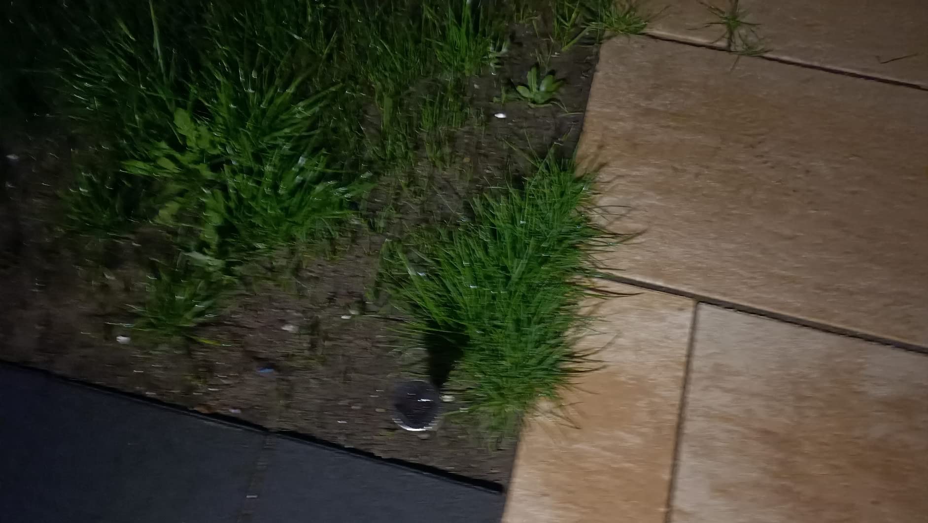 Zwei leuchten schon nicht mehr