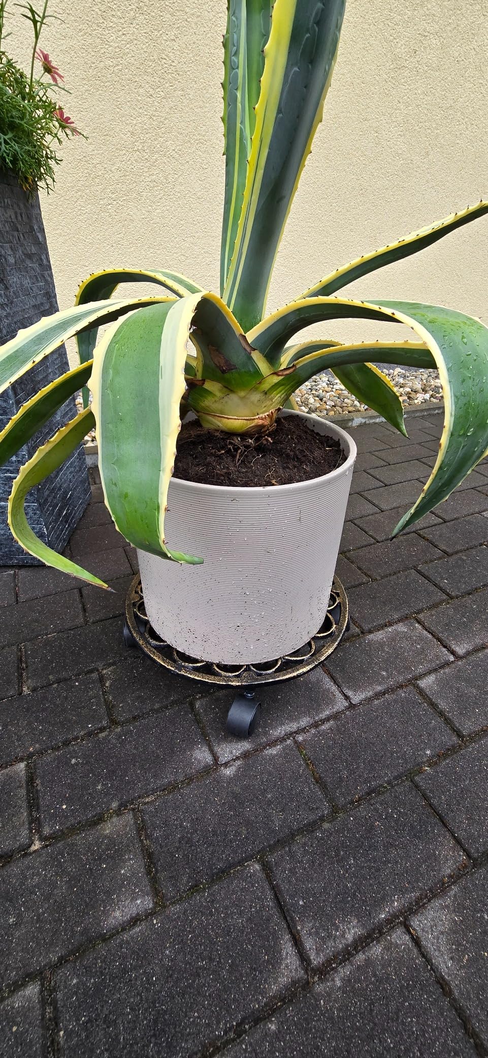 Gut für schwere Töpfe
