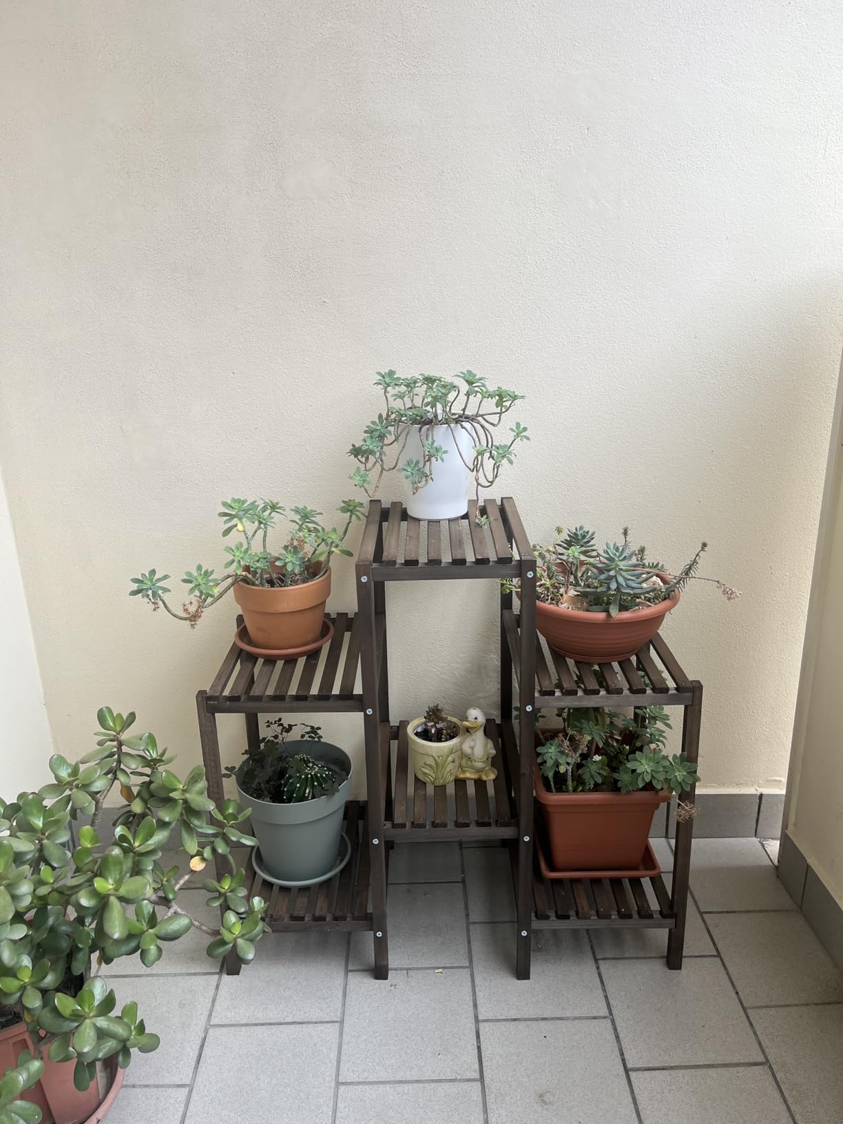 Tolle Deko für wenig Geld