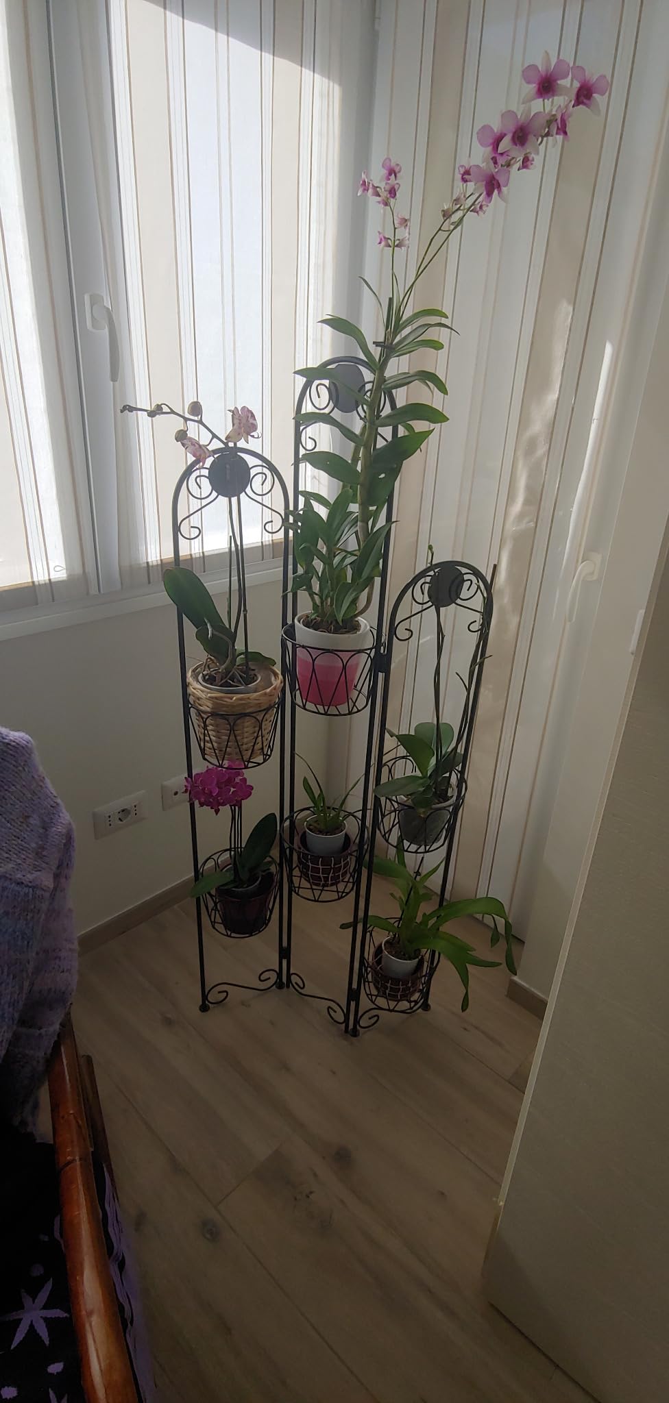 Schön auf dem Balkon