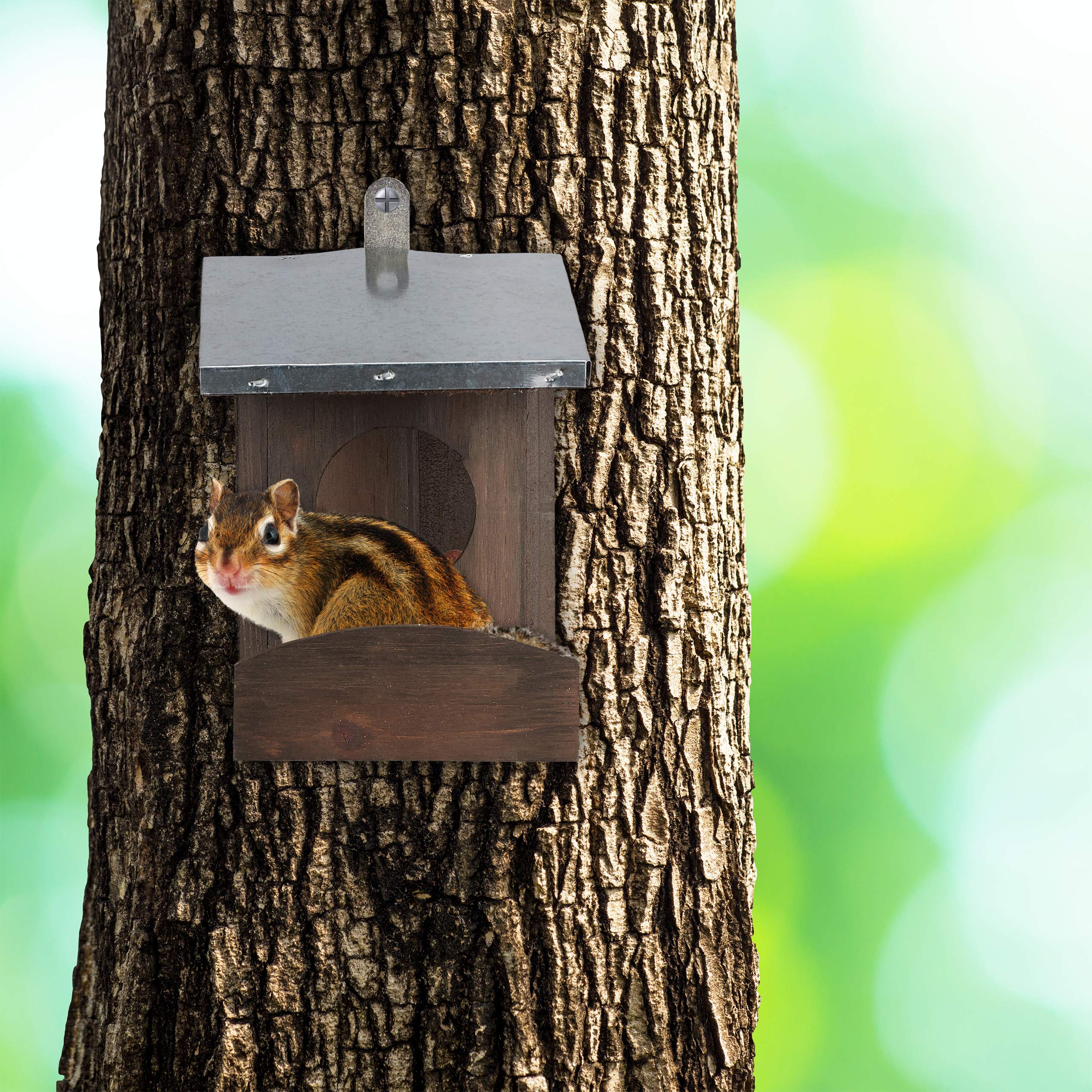relaxdays-eichh-rnchen-futterhaus-holz-geflammt-braun-mit-metalldach-18-x-12-x-2 image 3